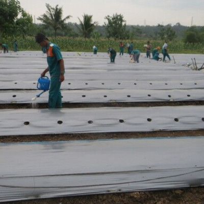 Persiapan Lahan 3