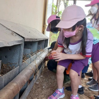 EduWisata SD Daniel Creative School Semarang