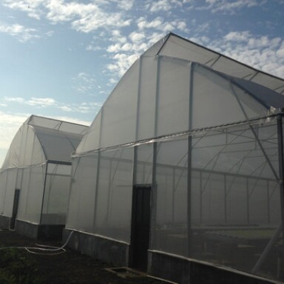 Green House dan Hidroponik