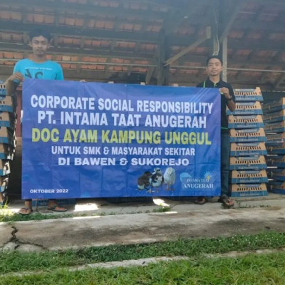 Bantuan 10000 DIC Ayam Kampung Unggul oleh PT Intama Taat Anugerah