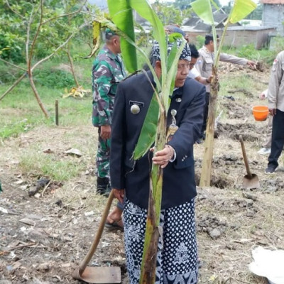 Penanaman Pisang Raja Bawen Raya Festival