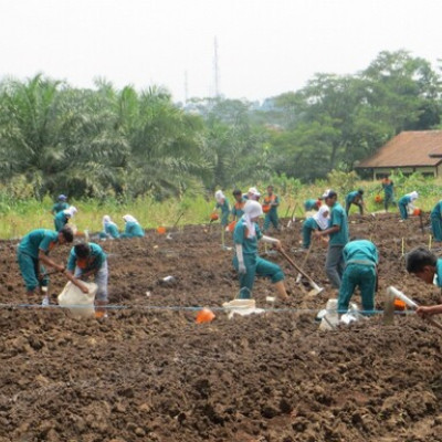 Persiapan Lahan 2