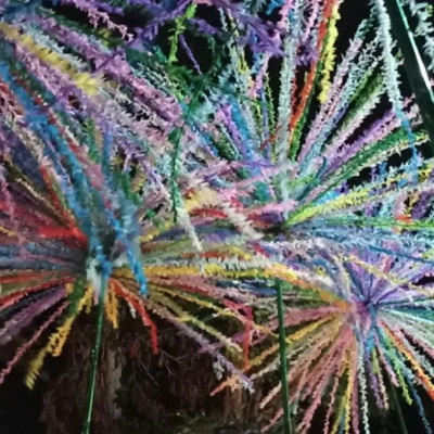 Kirab Budaya dalam Rangka Merti Dusun Desa Ngrawan Raya, Bawen